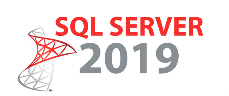 228-11496  SQLSvrStd 2019 ALNG MVL 1Y