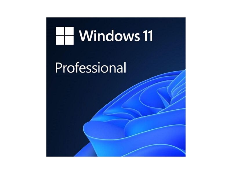 FQC-10572  MS Windows Pro 11 64-bit All Lng PK Lic Online DwnLd NR